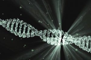 CRISPR : des modifications involontaires et mal détectées