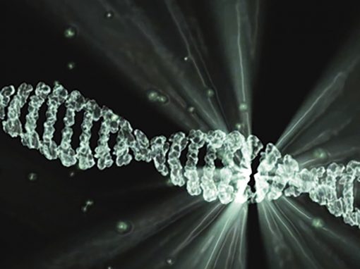 Malgré l’interdiction des tests génétiques en France, une société lance une base de données ADN
