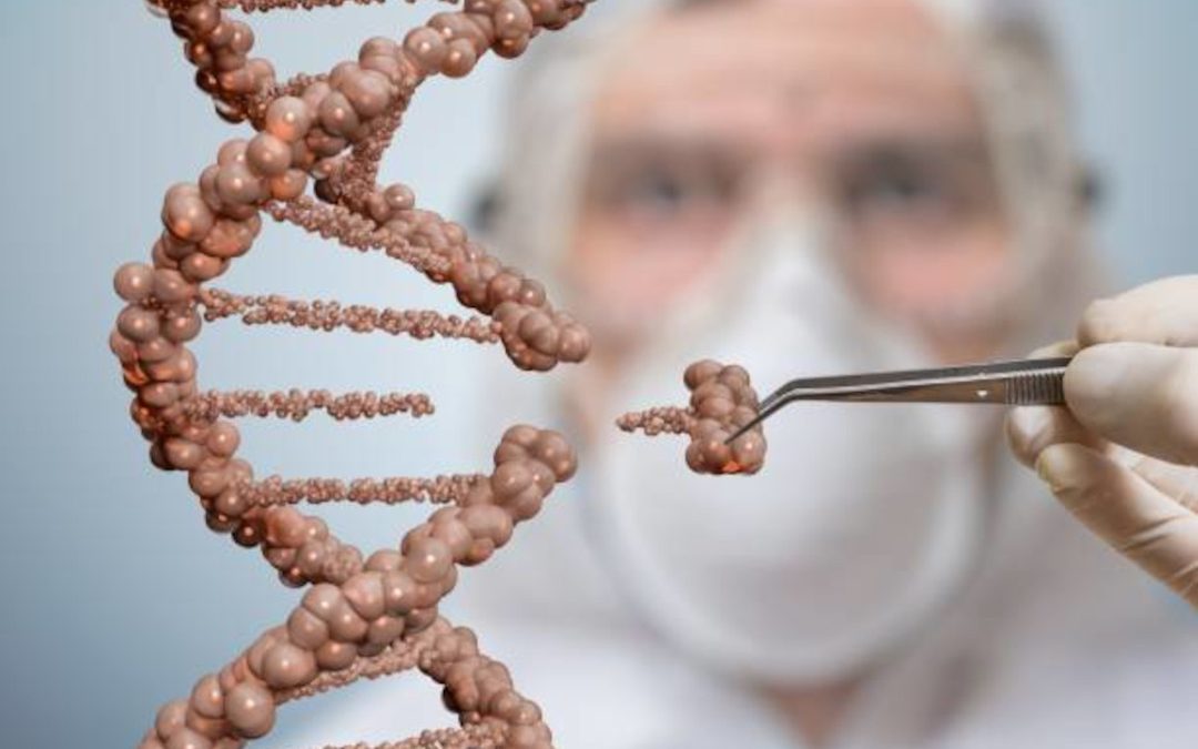 Modifier génétiquement des embryons ou des gamètes, est-ce le même problème ? Le Congrès devra se prononcer
