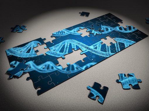 Edition du génome : les TALENs cinq fois plus efficaces que CRISPR sur les ADN denses
