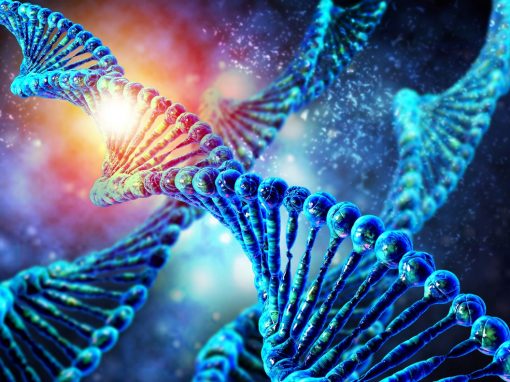 Editer le génome : des conséquences imprévisibles ?