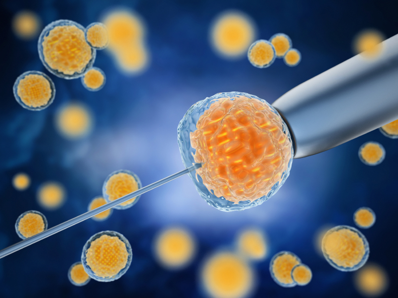 Bioéthique et Embryons in vitro : Où en est l’assistance médicale à la procréation ?