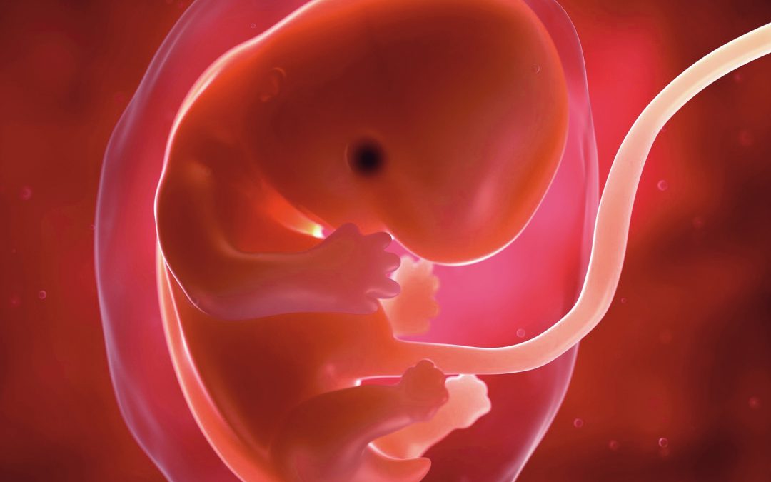 Le fœtus est sensible à la douleur… et aux émotions