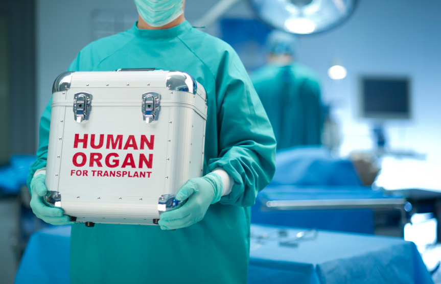 The United Kingdom: presumed consent to organ donation will not apply to genitals
