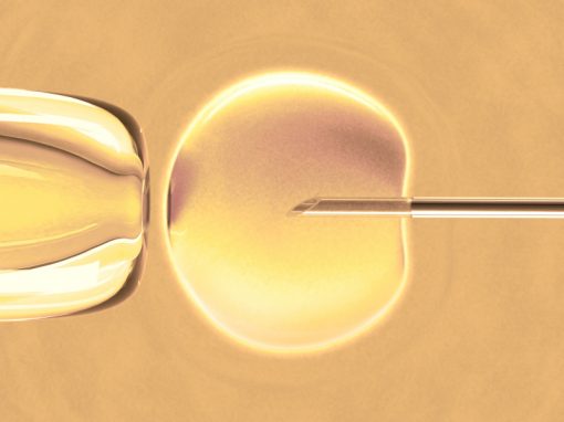 PMA : Développement d’une méthode de sélection des embryons