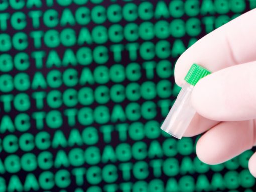 Les ventes de tests ADN à visée généalogique s'effondrent aux USA