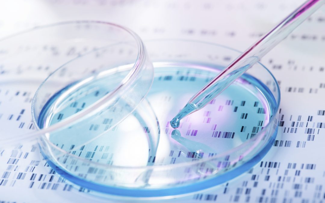 Cellectis obtient un nouveau brevet pour CRISPR