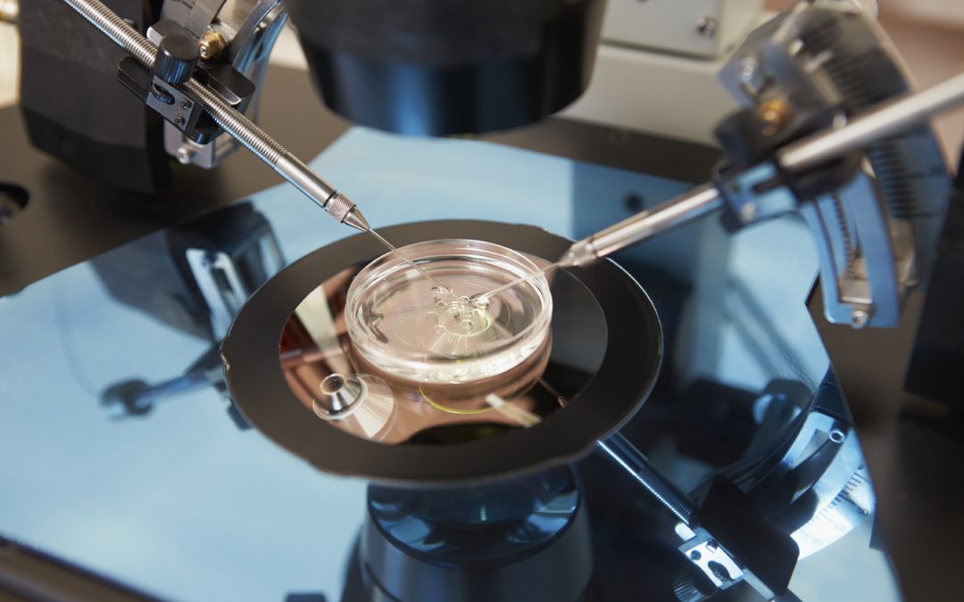 Four 3-parent IVF clinics pending in the US: scientists push for approval