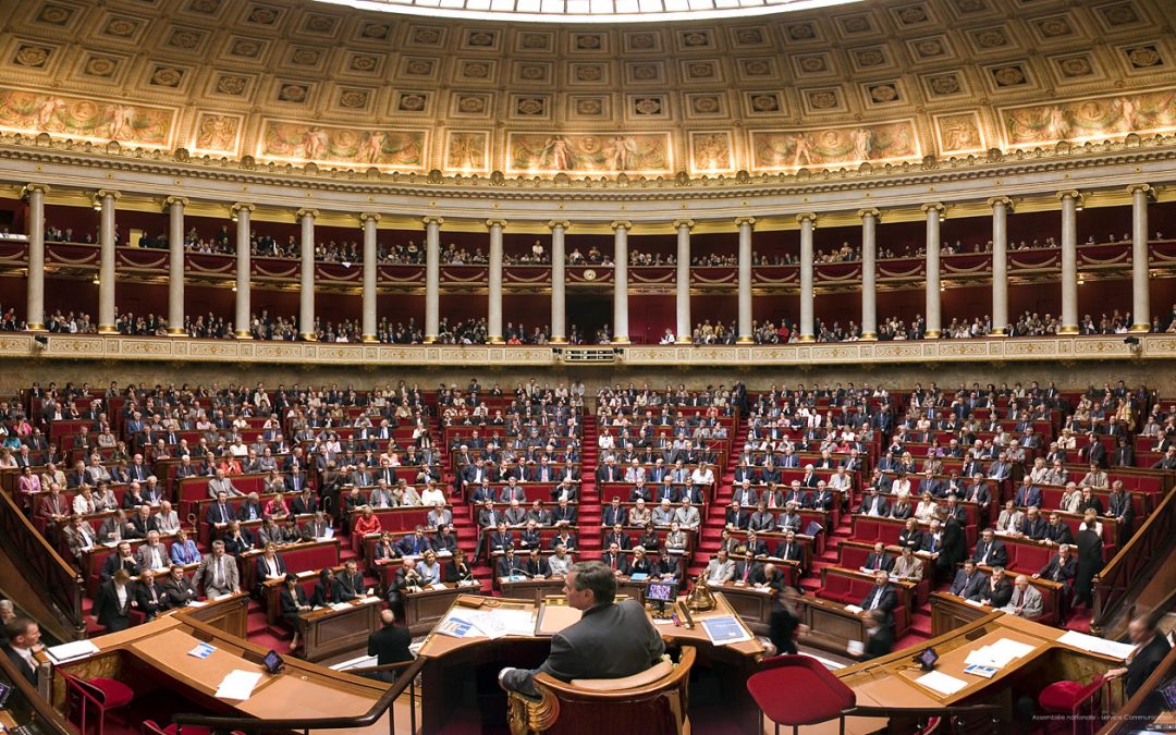 40 MPs file a resolution to confirm the principle of banning surrogacy in French law