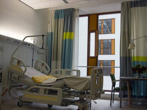 Au Benelux, le prélèvement d’organes après euthanasie a le vent en poupe