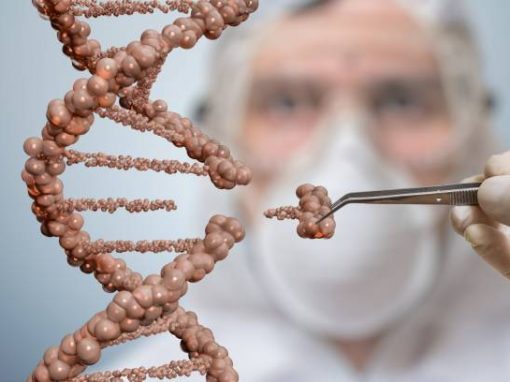 CRISPR : premier essai in vivo aux Etats-Unis