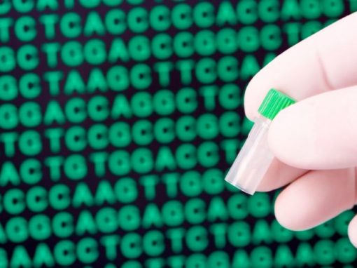 Human Genome Project : la carte complète dévoilée