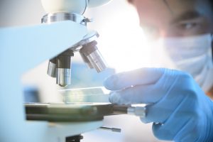 Loi de bioéthique : un décret d’application précise les conditions de la recherche sur l’embryon et les cellules souches