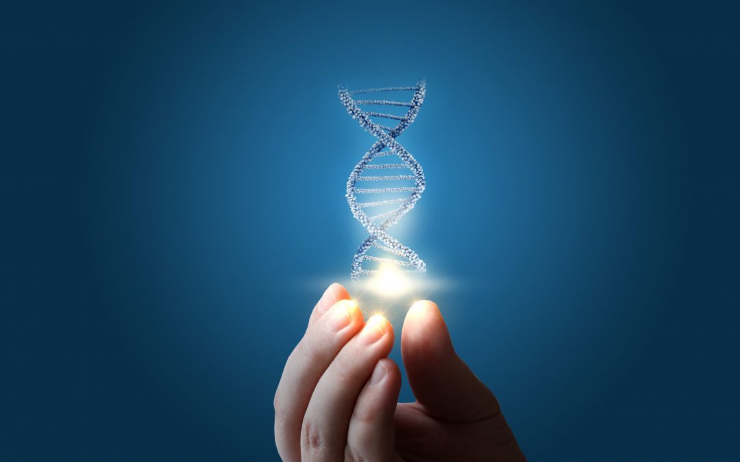 Projet Génome Humain : les chercheurs proches d’un séquençage complet