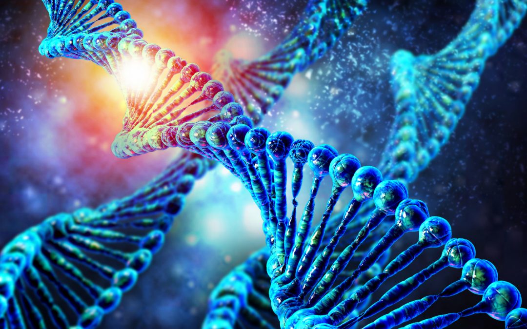 Embryons génétiquement modifiés : les détails de l’étude américaine publiés