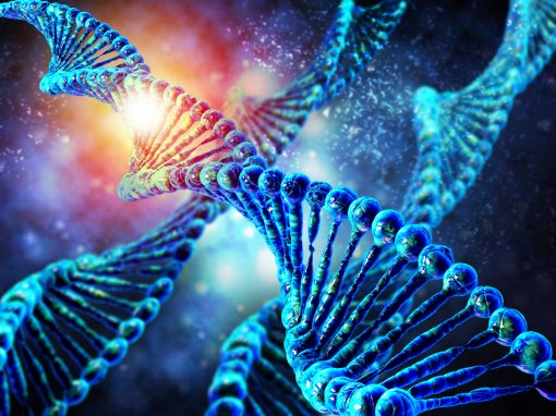 Une intelligence artificielle pour contourner les effets off target de CRISPR