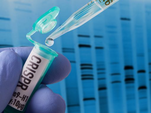 Les traitements utilisant CRISPR-Cas9 pourraient augmenter le risque de cancer