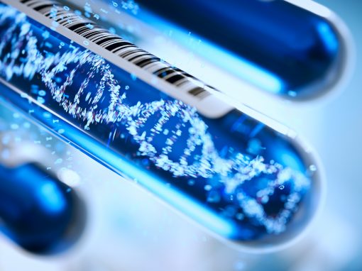 Myopathie de Duchenne : vers une alternative à la thérapie génique ?