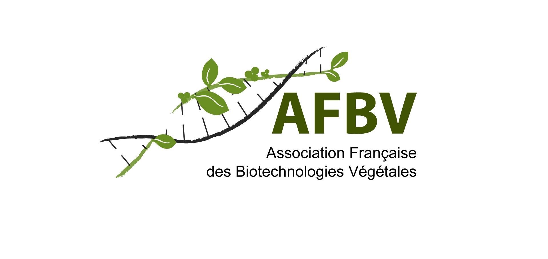 logo_afbv