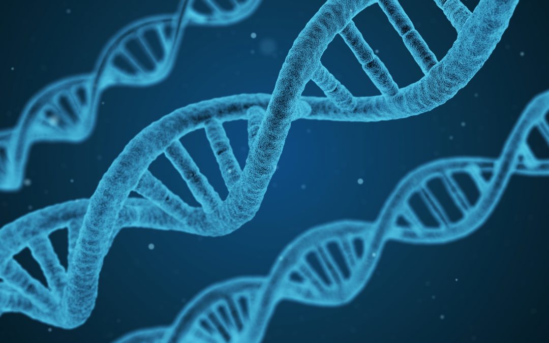 Une protéine pour contrer les effets hors-cibles de CRISPR ?