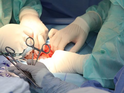 USA : Seconde naissance issue de la greffe d’un utérus prélevé sur donneuse décédée