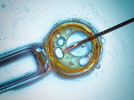 Affaire de la PMA post mortem : le Conseil d’Etat face aux incohérences du statut de l’embryon