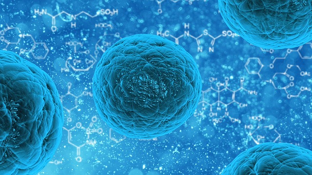 stem-cell-163711_640