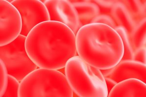 Sang de cordon : des cellules souches réparatrices