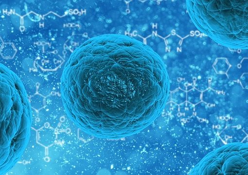 Comprendre le rôle de l'épigénétique chez les cellules souches embryonnaires