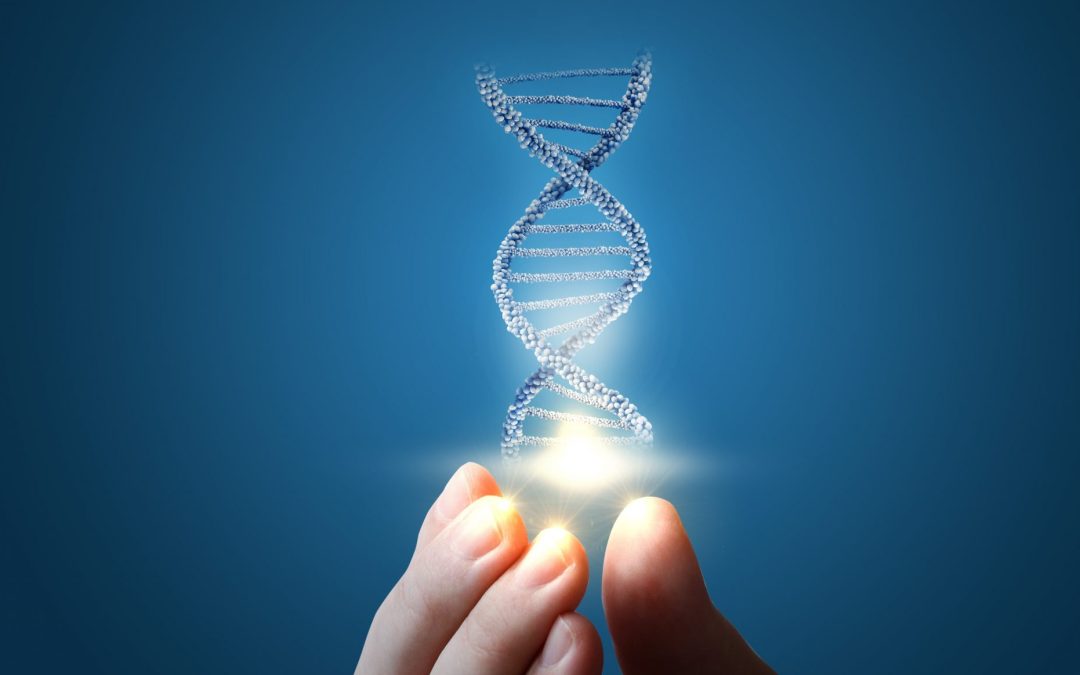 Les chromosomes sexuels, des « régulateurs génétiques influents »