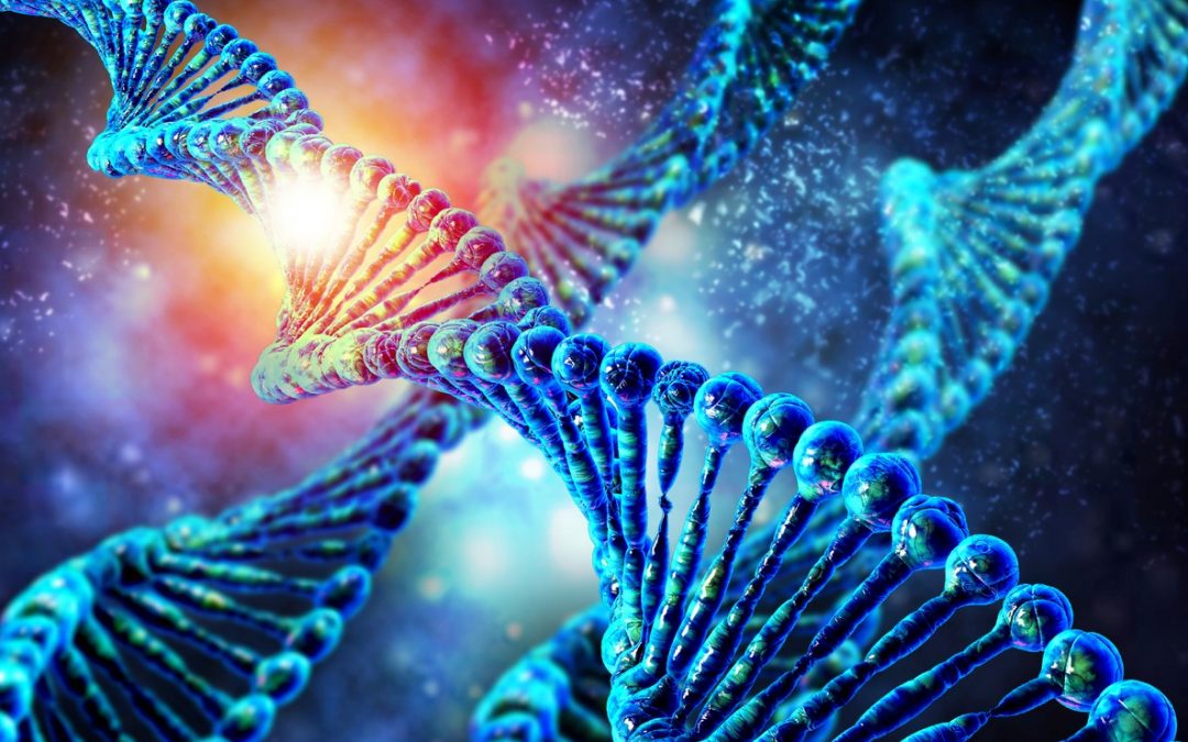 CReATiNG : fabriquer des « chromosomes synthétiques » à partir d’ADN naturel