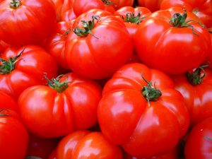 Japon : une variété de « tomates CRISPR » mise sur le marché