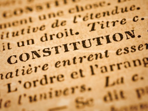 Tine Nys : la loi euthanasie devant la Cour constitutionnelle