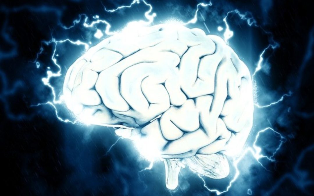 Le Human Brain project tire sa révérence