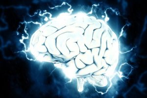 Le Human Brain project tire sa révérence