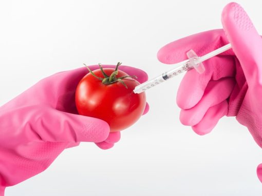 OGM : diviser pour mieux cacher ?