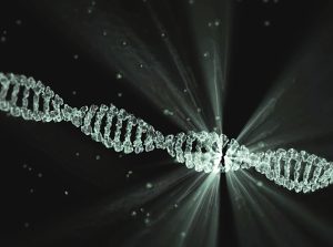 Une étude israélienne met en lumière les risques des « traitements CRISPR »