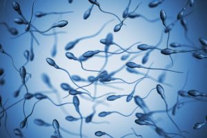 Au Danemark, un « distributeur » de sperme condamné