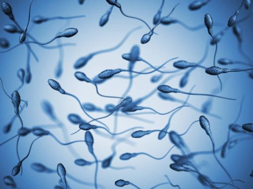 Au Danemark, un « distributeur » de sperme condamné