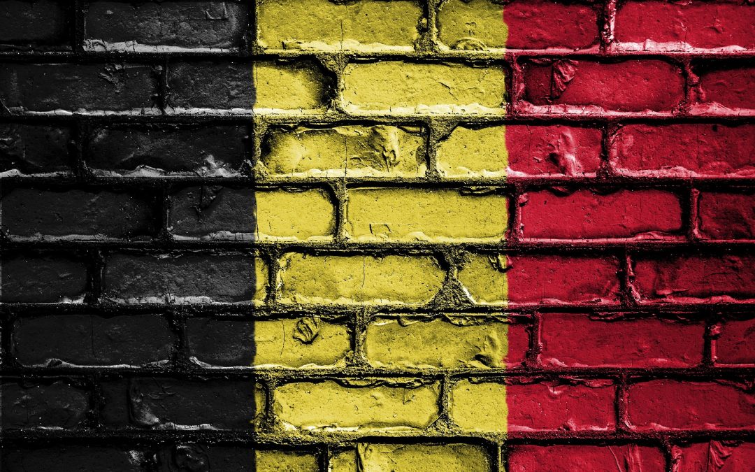 Euthanasie en Belgique : la Chambre adopte le système de sanctions « graduel »