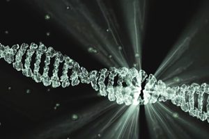 188 types de « nouveaux systèmes CRISPR » mis à jour